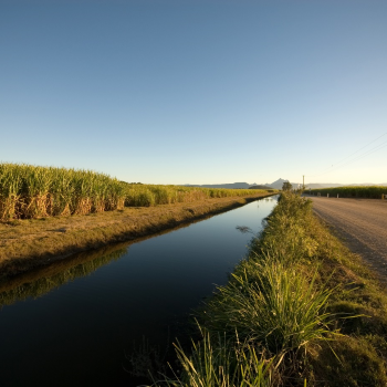 A wide landscape view of a body of water beside a dirt road and grassland