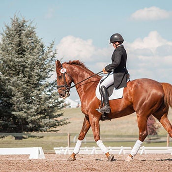 A woman riding a horse