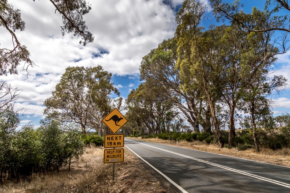 road sign on regional road