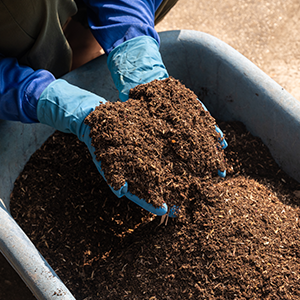 A person leaning over a wheelbarrow full of dirt, scooping up two handfuls of dirt in their gloved hands