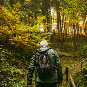 Hiker with a backpack walks along a forest trail, surrounded by golden autumn foliage and warm sunlight.