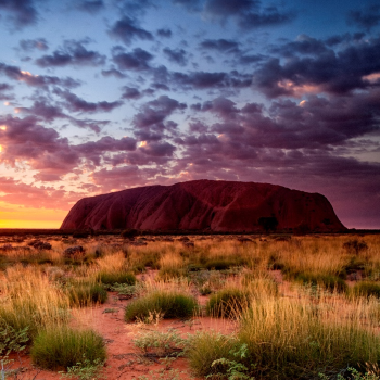 A wide landscape view of Uluru 