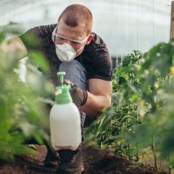 A man in goggles, mask and gloves inside a greenhouse spraying plants with pesticide